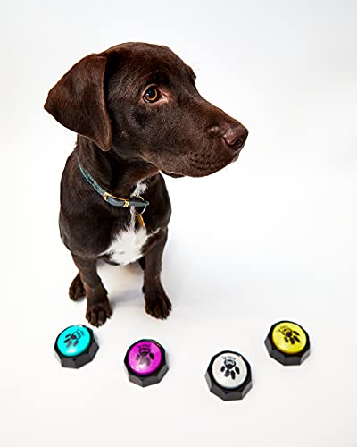 Buzzers de entrenamiento grabables - Botones de entrenamiento de habla para perros y cachorros. Entrena fácilmente a tu perro para presionar botones y voz lo que quieren... (paquete de 4)