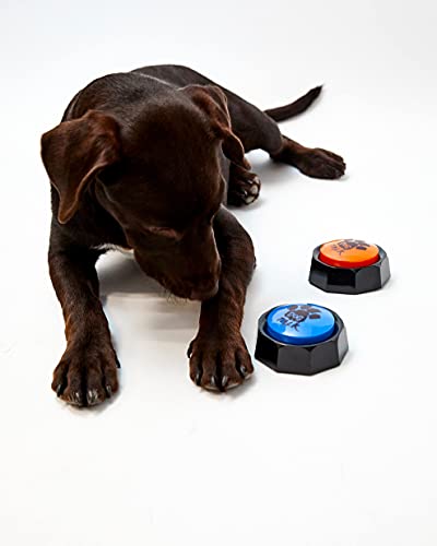 Buzzers de entrenamiento grabables - Botones de entrenamiento de habla para perros y cachorros. Entrena fácilmente a tu perro para presionar botones y voz lo que quieren... (paquete de 4)