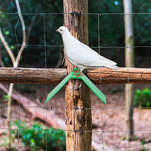 Cabilock 10 Unidades de Soporte de Apoyo de Paloma Marco de Plástico para Aves Percha para Aves Perchas para Palomas Perchas Portátiles Suministros de Aves para Aves Caseras Loro Color