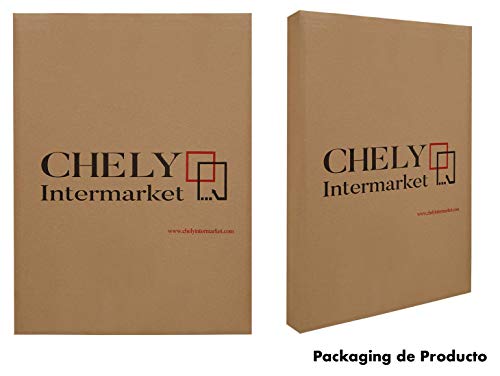 Chely Intermarket | 28B2A | Marco Clip A4 de Vidrio | Soporte sin Marco para fotografías, Posters, certificados y Recuerdos. Complemento Ideal para Colgar en la Pared(0,40)