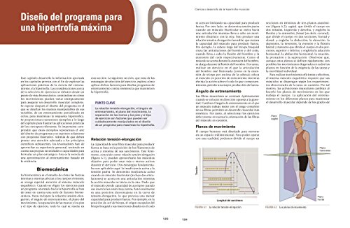 Ciencia y desarrollo de la hipertrofia muscular