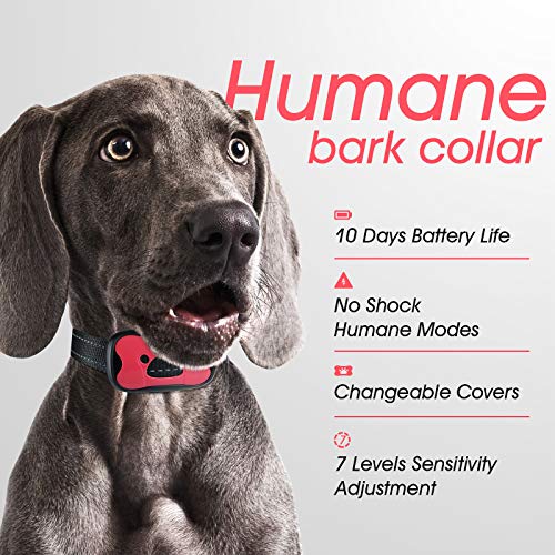 Collar Antiladridos de Perro Recargable para Medianos Grandes Sonido Humano Ajustable y Modo de Vibración para Entrenar Perros Ajuste de Sensibilidad de 7 Niveles - Rosa