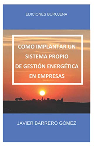 Como implantar un sistema propio de gestión energética en empresas: Como podemos añadir valor a una empresa implantando una estrategia de ahorro energético a largo plazo.