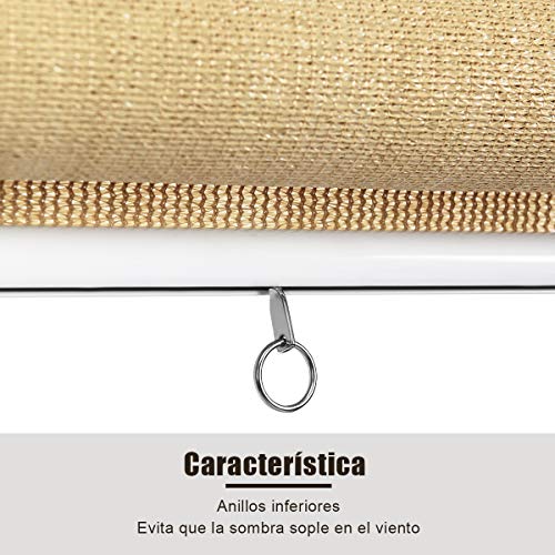 COSTWAY Persiana Opaca Toldo Enrollable con Cadena/ Protección Solar/Pantalla de Privacidad para Terraza Patio Oficina (Beige, 181x181cm)