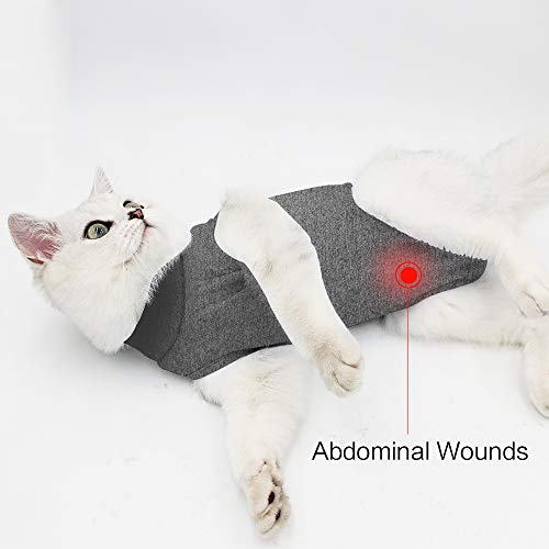 Dotoner Gatos Traje de recuperación Profesional para heridas Abdominales o Enfermedades de la Piel Alternativo para Gatos y Perros después de la cirugía Ropa para el hogar(Gris,m)