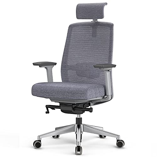 Duwinson Silla de Oficina en casa de Malla ergonómica, reposabrazos de Ajuste en 4 direcciones, Silla de Escritorio ejecutiva con Ajuste reclinable, reposacabezas Ajustable, Soporte Lumbar Acolchado