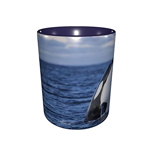 EDJKEJYCO Killer Whales Orca - Tazas para té, café, oficina, regalo