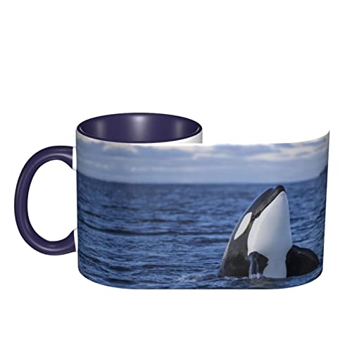 EDJKEJYCO Killer Whales Orca - Tazas para té, café, oficina, regalo