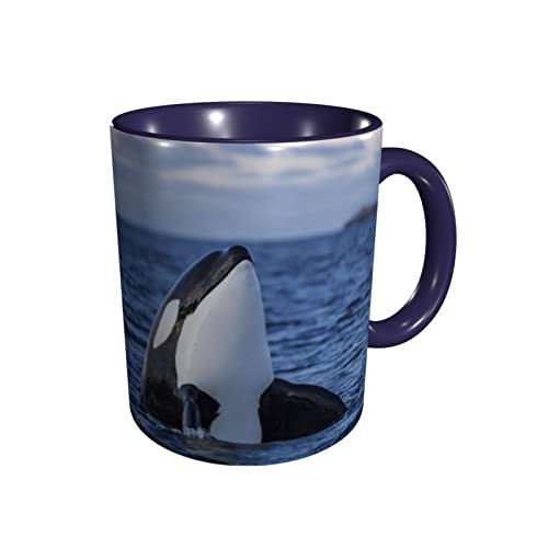 EDJKEJYCO Killer Whales Orca - Tazas para té, café, oficina, regalo