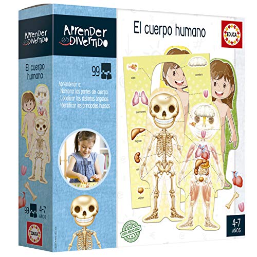 Educa - Aprendo Aprender es Divertido el Cuerpo Humano, Juego educativo para niños, a partir de 4 años, color/modelo surtido (18701)