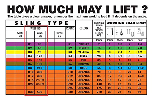 Elevación seguridad amz1022482 poliéster soporte de carga de trabajo Web Sling, T límite, 10 m EWL longitud