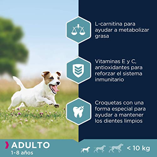 Eukanuba Alimento seco para perros adultos activos de raza pequeña, rico en pollo fresco 3 kg