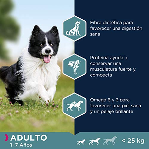 Eukanuba Alimento seco para perros adultos de razas pequeñas y medianas, rico en cordero y arroz, 12 kg