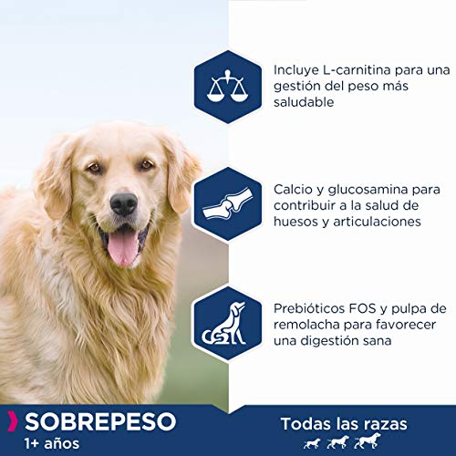 Eukanuba Daily Care Alimento seco para perros adultos con sobrepeso 12 kg