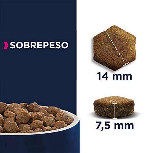 Eukanuba Daily Care Alimento seco para perros adultos con sobrepeso 12 kg