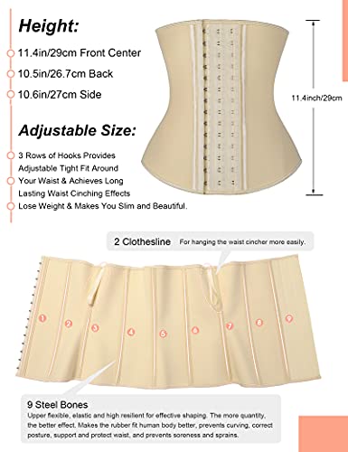 FeelinGirl Látex Corsé de Entrenamiento Faja Postparto Reductora 9 Aceros Corset Transpirable para Mujer Faja Lumbar con Ganchos Beige XXS/Tallla 30(Cintura 52-57cm