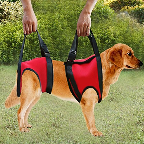 Filfeel Soporte para Perros Arnés Pet Walking Ayuda Lifting Pulling Vest Sling Support Rehabilitation para Perros Viejos y heridos(Pata Delantera - L-Rojo)