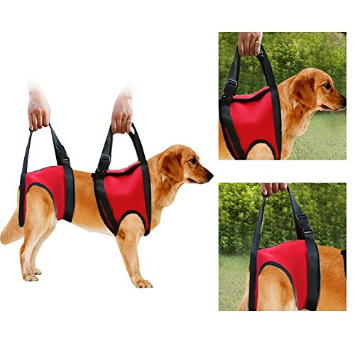 Filfeel Soporte para Perros Arnés Pet Walking Ayuda Lifting Pulling Vest Sling Support Rehabilitation para Perros Viejos y heridos(Pata Delantera - L-Rojo)