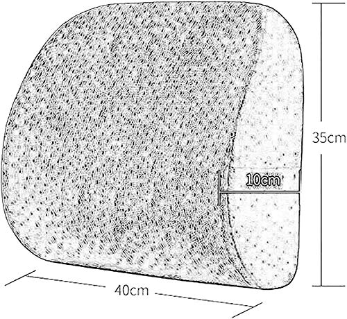 FLYAND Cojín Lumbar de Espuma de Memoria Postura de Soporte de Soporte de Espalda Baja Postura de Soporte Lumbar con Correa Ajustable, Almohadilla de Dolor de Espalda (Color: púrpura)