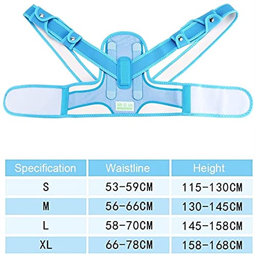 GDYJP Adolescentes Postures correctores, Hombro Trasero Cintura Lumbar Que soporta la corrección de Lesiones de Hueso enderezar la Parte Superior de la Espalda (Color : Blue, Tamaño : L)