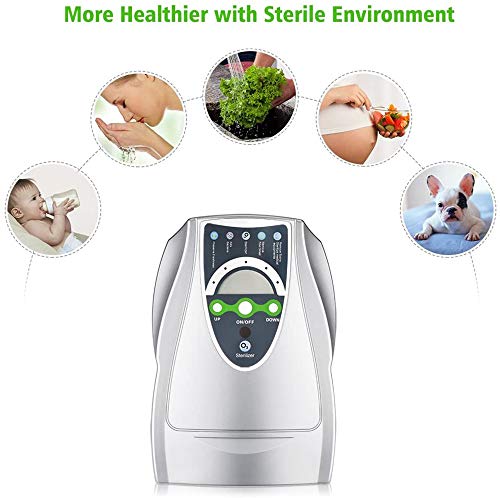 Generador Ozono Purificador Aire Desinfección Hogar y Coche Agua Desinfectador Ozono Para Esterilizador verduras, frutas Portátil 500 Mg/H desintoxicación máquina Vehículo Ozonizador 12V 220V