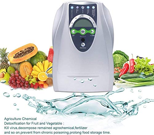 Generador Ozono Purificador Aire Desinfección Hogar y Coche Agua Desinfectador Ozono Para Esterilizador verduras, frutas Portátil 500 Mg/H desintoxicación máquina Vehículo Ozonizador 12V 220V