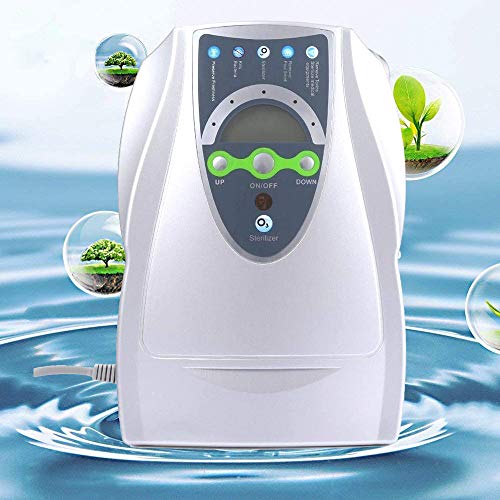 Generador Ozono Purificador Aire Desinfección Hogar y Coche Agua Desinfectador Ozono Para Esterilizador verduras, frutas Portátil 500 Mg/H desintoxicación máquina Vehículo Ozonizador 12V 220V