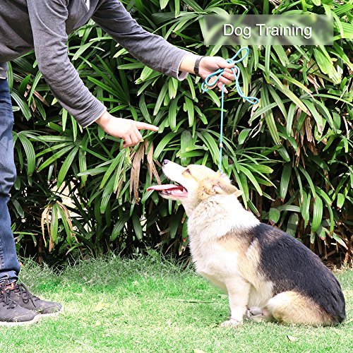 Grand Line Correa de Perro Nylon Cuerda de Entrenamiento Ajustable Reflectantes para Perros Pequeños, Medianos, Grandes y Extra - 0.6cm de Diámetro x 150cm de Largo(Roja)