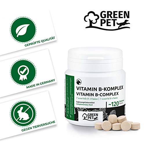 GreenPet Complejo de Vitamina B Perros - 8 vitaminas B, biotina, ácido fólico, minerales, Alta dosis para Perros Viejos (Senior), jóvenes y Cachorros, 4 Meses