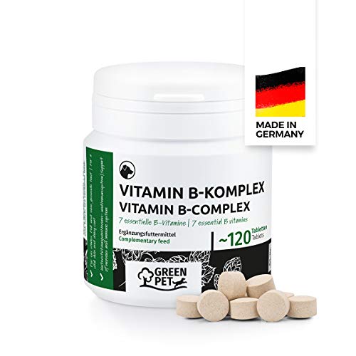 GreenPet Complejo de Vitamina B Perros - 8 vitaminas B, biotina, ácido fólico, minerales, Alta dosis para Perros Viejos (Senior), jóvenes y Cachorros, 4 Meses