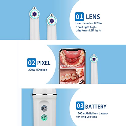 HHYGR Endoscopio Intraorale Visual HD, Laringoscopio de Espejo Dental Oral, Cámara de Observación Oral de 6 Luces Led, Compatible con Android E iOS