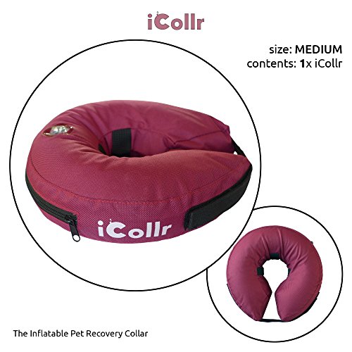 iCollr - El Collar Inflable - Collar Protector para Perros y Gatos en la Recuperación Postoperatoria