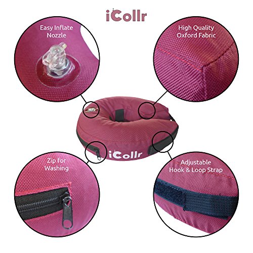 iCollr - El Collar Inflable - Collar Protector para Perros y Gatos en la Recuperación Postoperatoria (Media +)