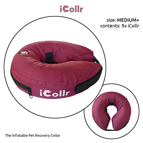 iCollr - El Collar Inflable - Collar Protector para Perros y Gatos en la Recuperación Postoperatoria (Media +)