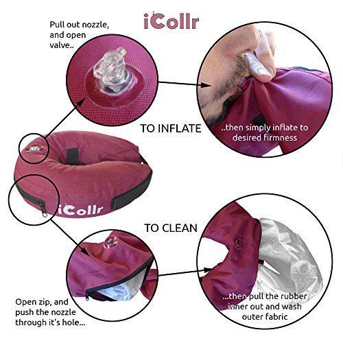 iCollr - El Collar Inflable - Collar Protector para Perros y Gatos en la Recuperación Postoperatoria (Media +)