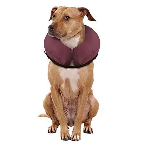 iCollr - El Collar Inflable - Collar Protector para Perros y Gatos en la Recuperación Postoperatoria (Media +)