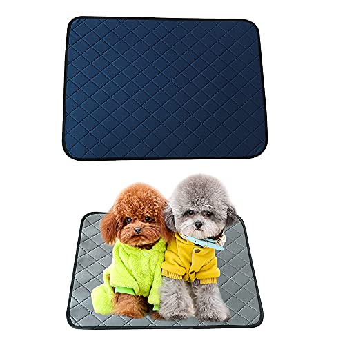 Jooheli 2 Piezas Almohadilla de Entrenamiento para Perros, Empapadores Perros Reutilizables 60*45cm, Toallitas de Entrenamiento para Mascotass, Almohadilla de Orina para Cachorros Conejos (Gris+Azul)