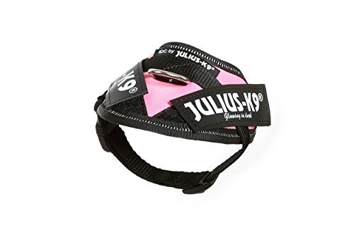 JULIUS-K9 16IDC Power Harness