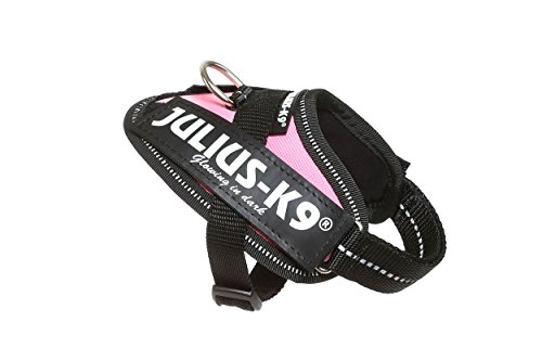 JULIUS-K9 16IDC Power Harness