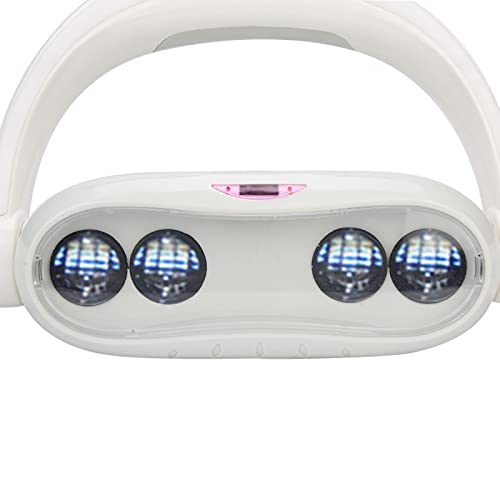 Lámpara de inducción LED de alta eficiencia 2 diferentes tamaños Luz oral LED disponible para sillón dental(22mm)