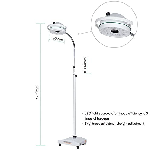 Lámpara Sin Sombras De La CA De La Luz del Examen Médico Quirúrgico Móvil De Dental Power 36W 12 LED