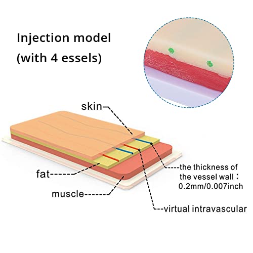 LKZL Almohadilla de Entrenamiento de Inyección de Venopunción IV, Práctica de Infusión Intravenosa Modelo de Piel Humana con 4 Venas Incrustadas, 3 Capas de Piel para Estudiante Médico Enfermera