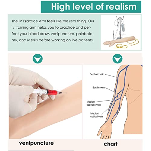 LKZL Brazo de Práctica Intravenosa IV Modelo de Entrenamiento de Brazo de Punción Venosa Modelo de Enseñanza del Brazo de Transfusión de Extracción de Sangre de Inyección Intramuscular