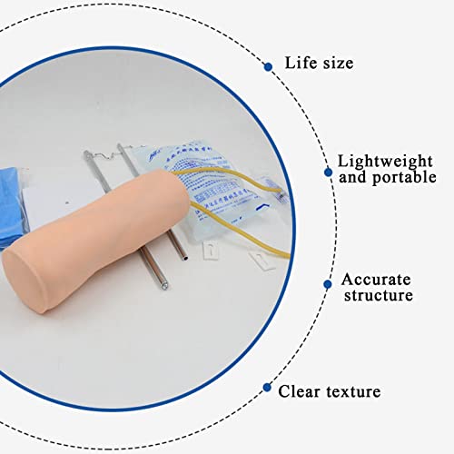 LKZL Modelo Avanzado de Entrenamiento de Punción Venosa de La Articulación del Codo, para La Formación de Aprendices de Enfermería Inyección Intravenosa, Infusión Y Habilidad Intravenosa