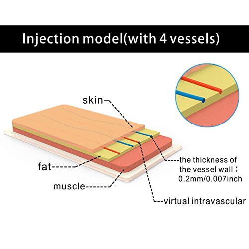 LKZL Modelo de Almohadilla de Entrenamiento de Inyección de Venopunción Intravenosa con 4 Venas Incrustadas, 3 Capas de Piel, Modelo de Práctica de Piel Humana para Enfermería, Sutura, Práctica