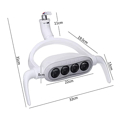 LMEILI Luz bucal Dental, Luz De Examen Bucal LED Dental, Lámpara de luz Oral Dental de 4 LED, lámpara de Examen bucal quirúrgica sin luz LED Ajustable para sillón Dental, 22 mm/26 mm