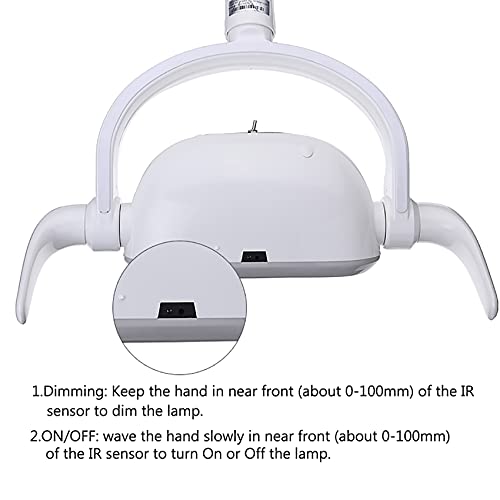 LMEILI Luz bucal Dental, Luz De Examen Bucal LED Dental, Lámpara de luz Oral Dental de 4 LED, lámpara de Examen bucal quirúrgica sin luz LED Ajustable para sillón Dental, 22 mm/26 mm