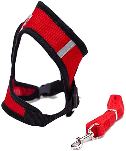 Locisne Tela de malla chaleco para perros Arnés suave ajustable cómodo | El plomo en el pecho del animal doméstico caminar con correa con clip (rojo, Pequeño)