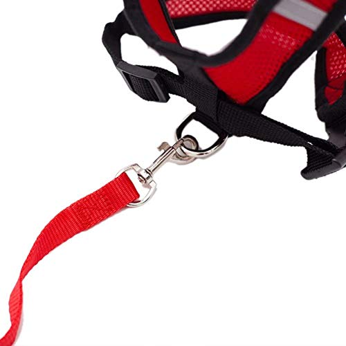 Locisne Tela de malla chaleco para perros Arnés suave ajustable cómodo | El plomo en el pecho del animal doméstico caminar con correa con clip (rojo, Pequeño)