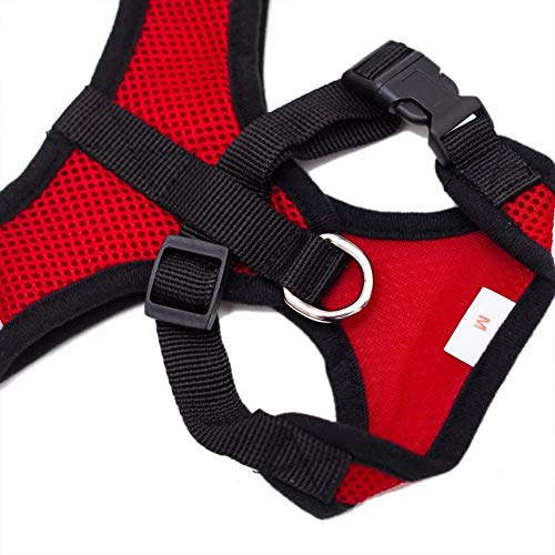 Locisne Tela de malla chaleco para perros Arnés suave ajustable cómodo | El plomo en el pecho del animal doméstico caminar con correa con clip (rojo, Pequeño)